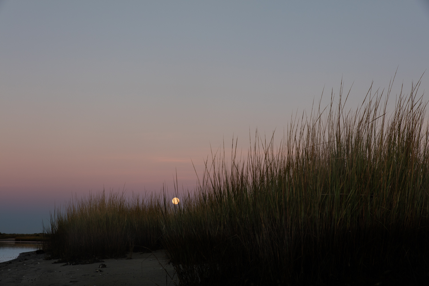  sunset over the wetlands 