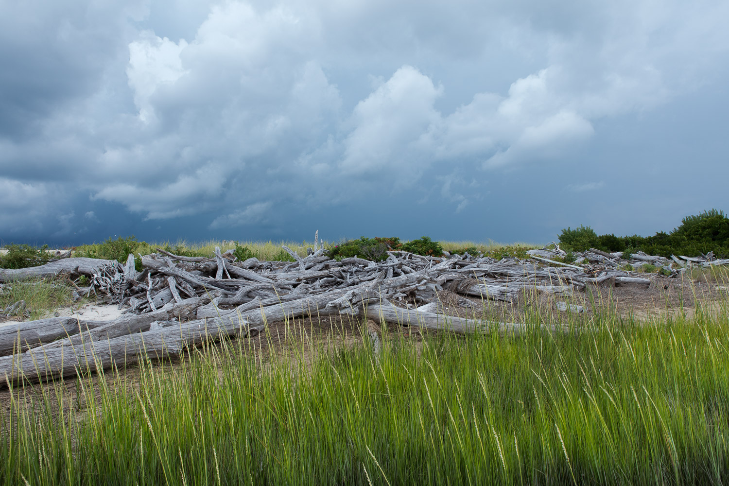  Driftwood carried over and island during Sandy 