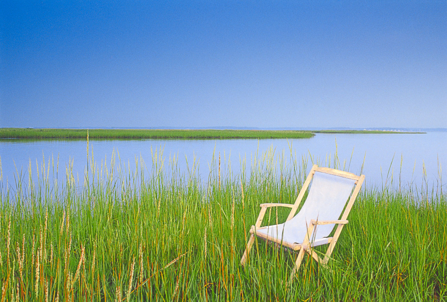  Beach Chair in grasses 