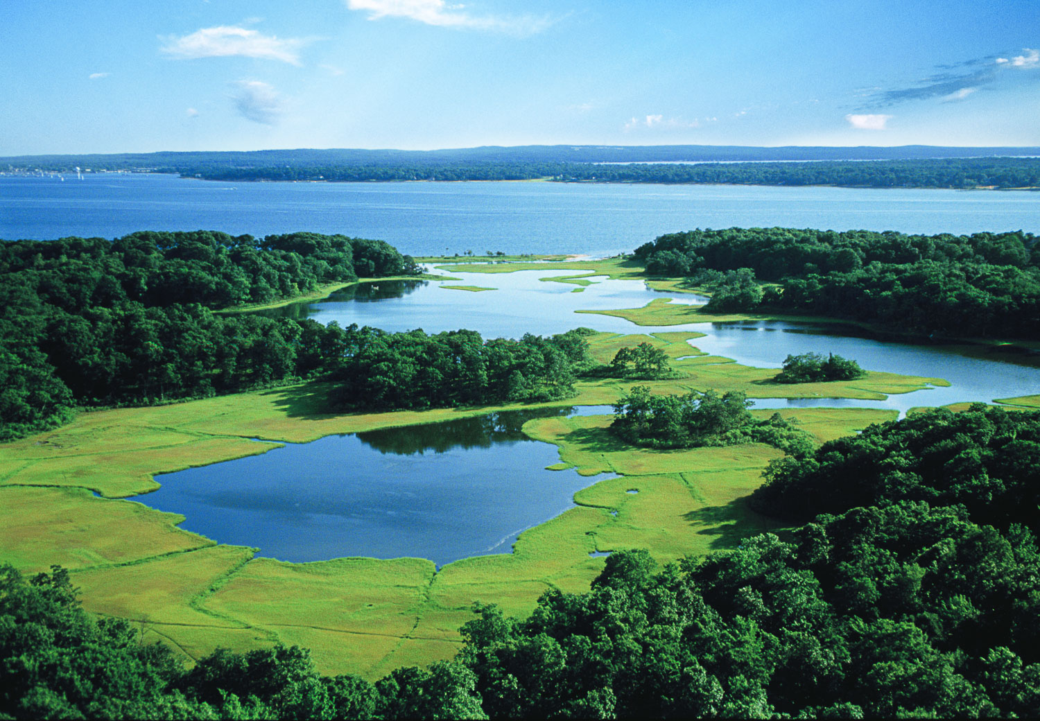  Aerial Wetlands 