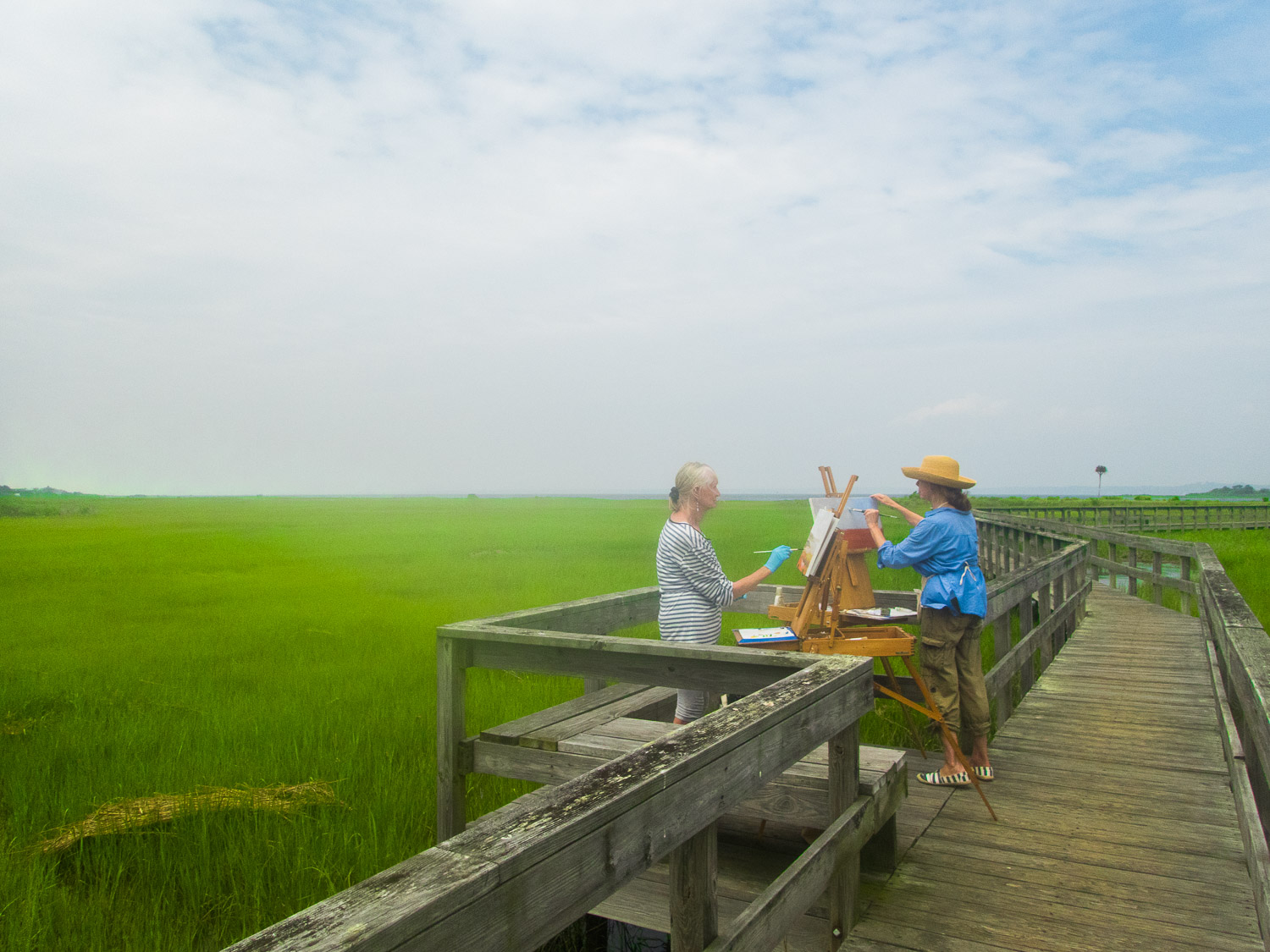  Painters among the wetlands 