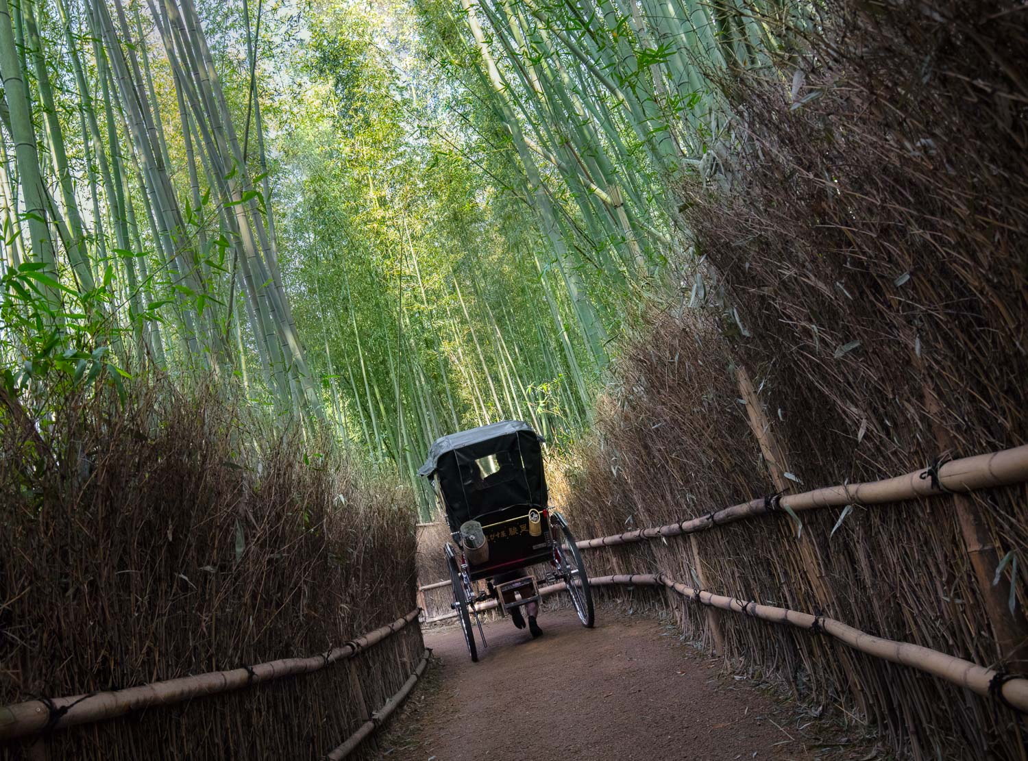 Rickshaw Bamboo Rorest