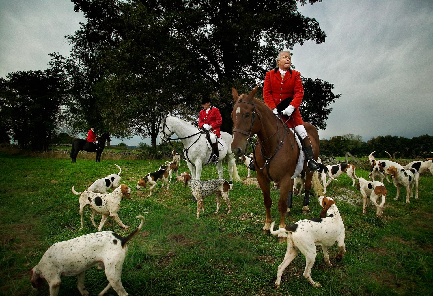 Hunt Master and  Fox Hounds