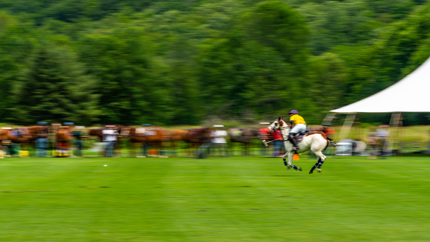 All alone this polo player lines up the shot at mashomack polo club in Pine Plains, ny.  Polo is a contact sport..jpg