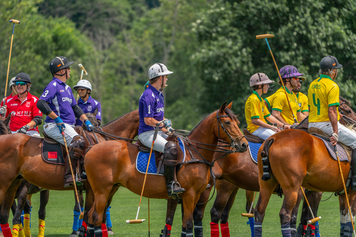 Polo players and their ponies at the start of Mashomack polo match.jpg