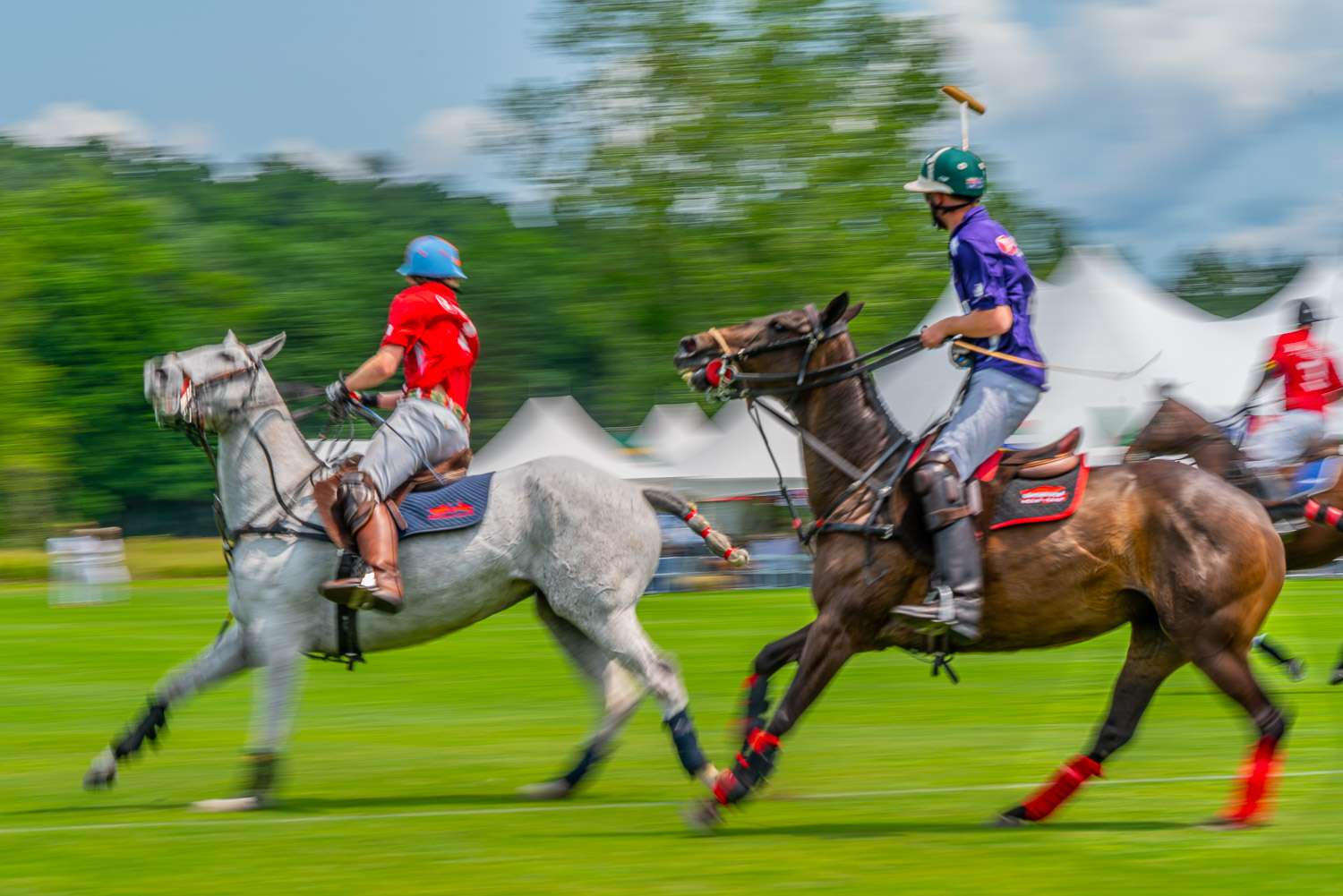 Polo ponies stop on a dime muscles flexed at the mashomack polo club in pine plainsj, ny.  The action blur creats a sense of speed and movement..jpg