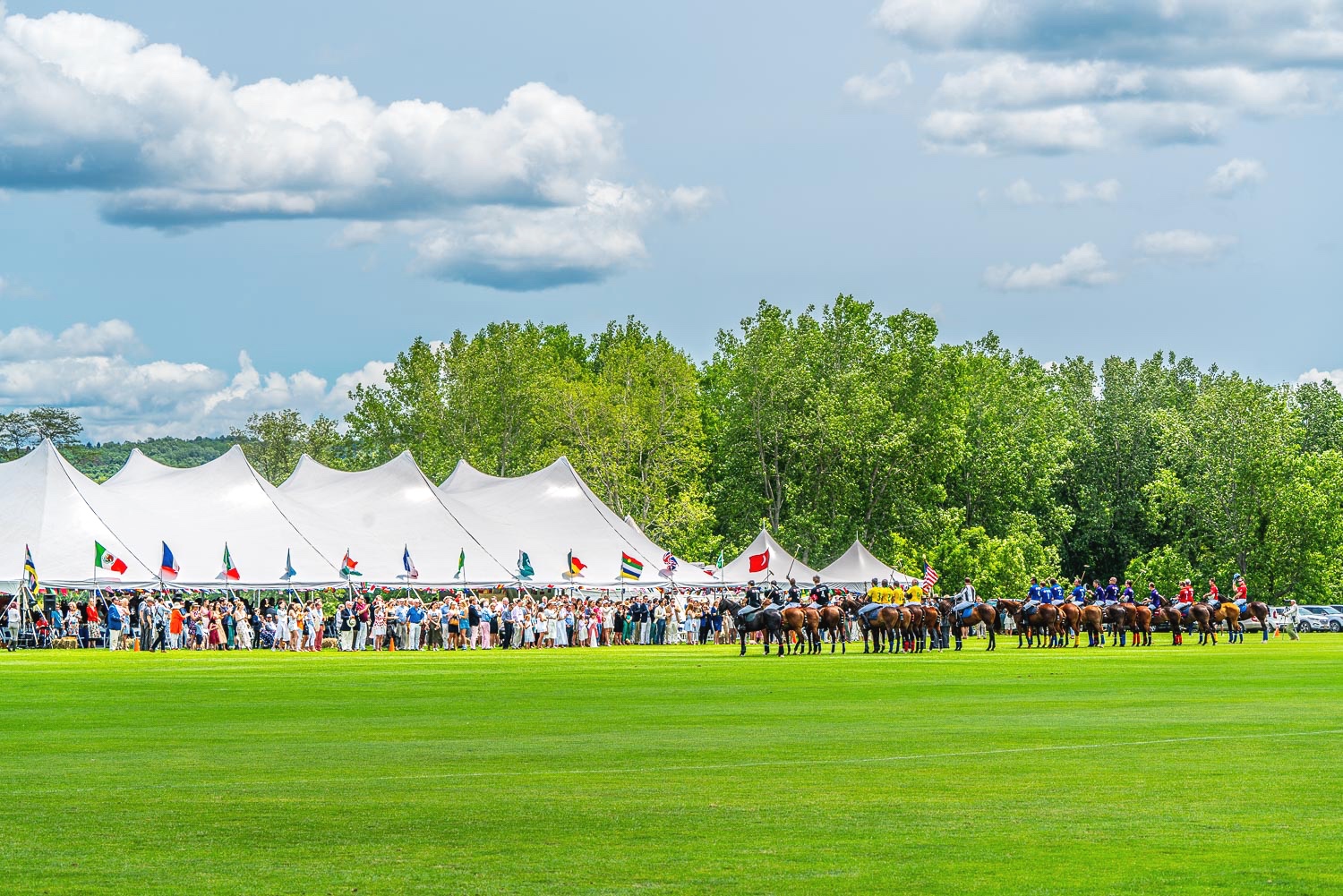 polo ponies and riders line up in front ot the grandstands prior to the match. .jpg