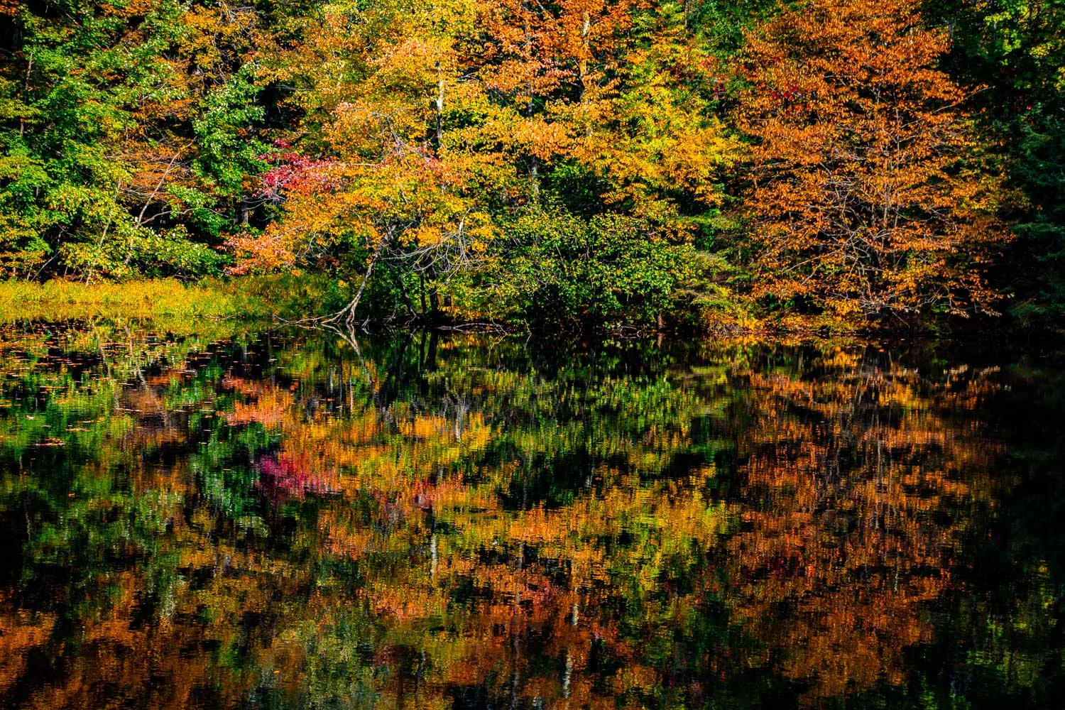 Photographs created in Pine Plains, NY. Landscape images spring summer