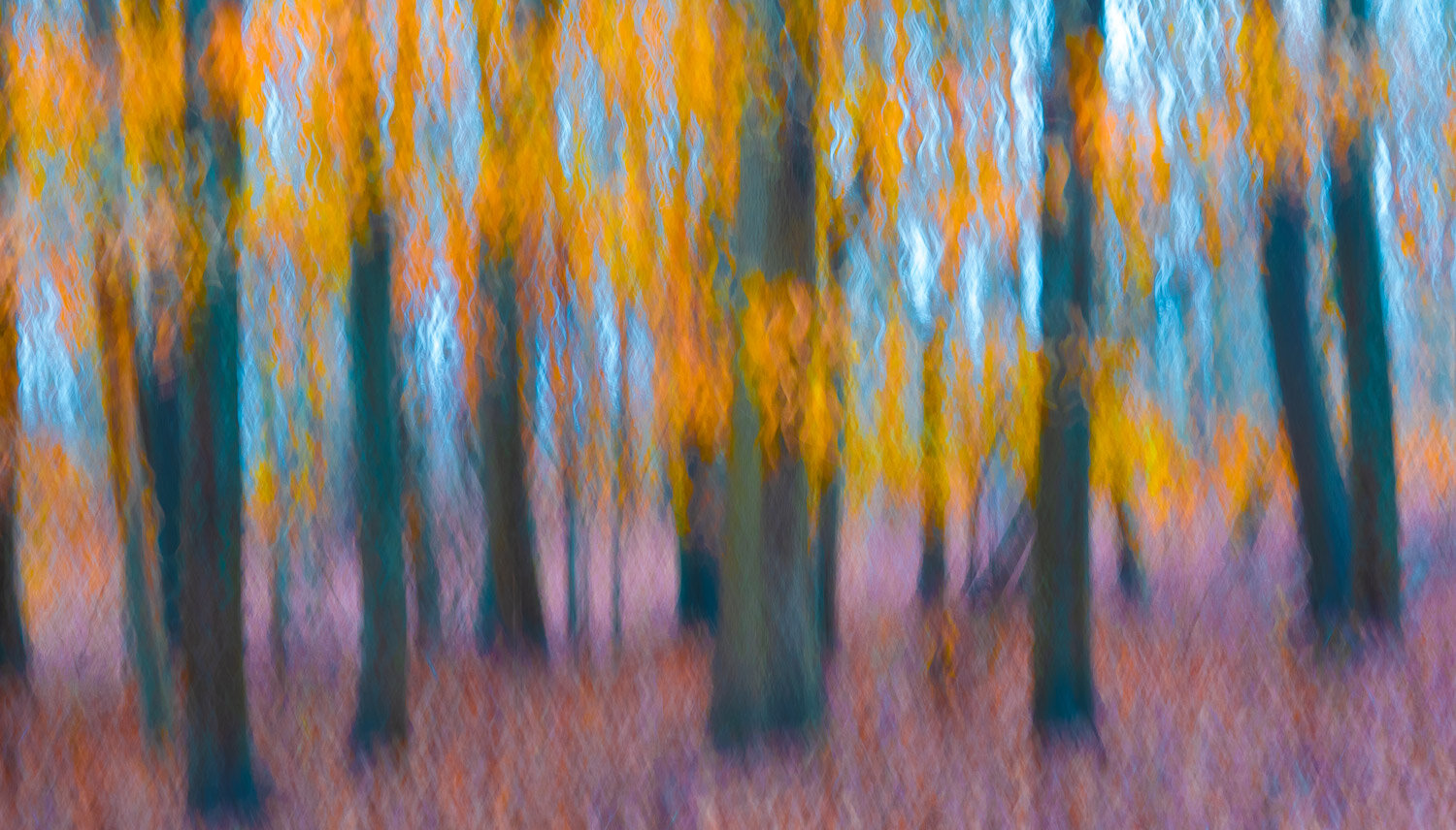 Autumn in Motion