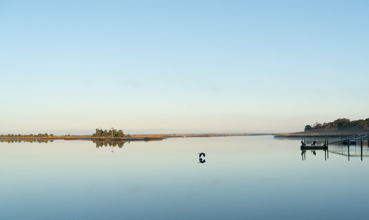  Great Blue Heron reflected in the bay 