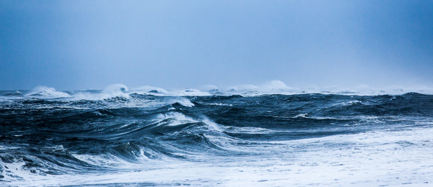 Sandy rolling in