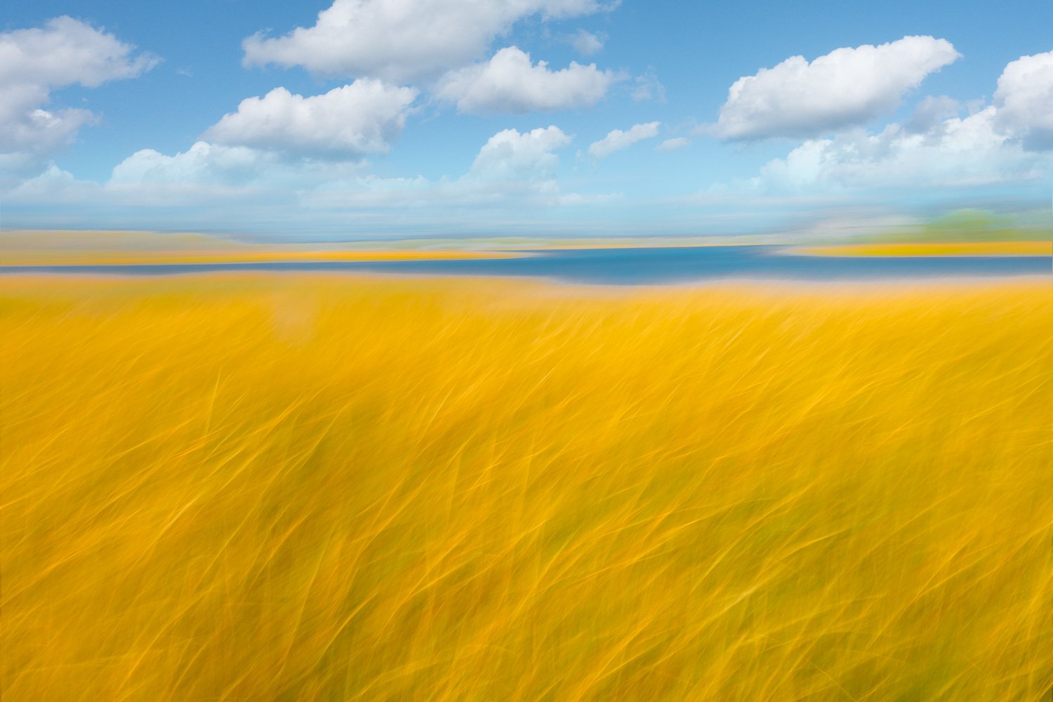 Color Study Wetlands