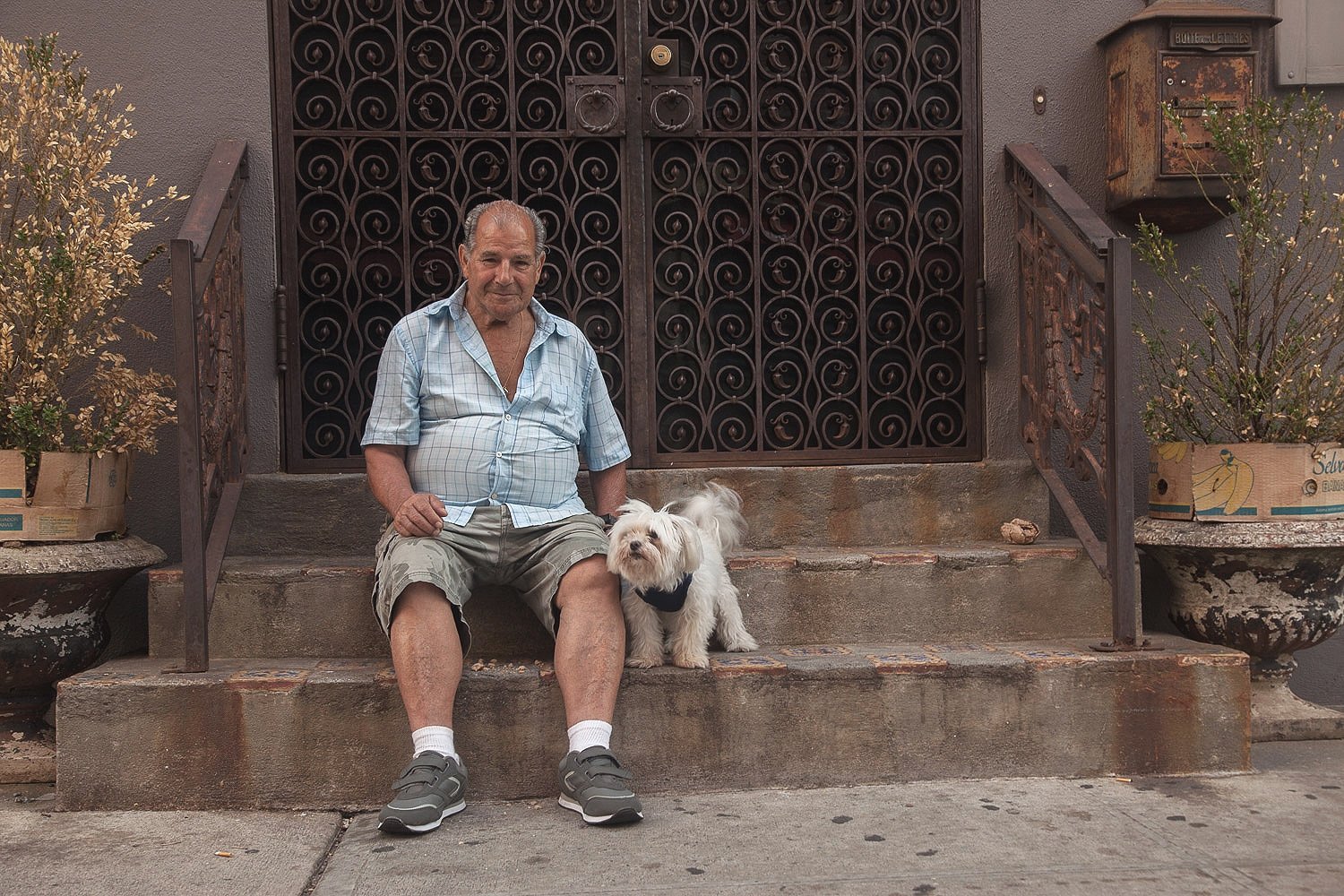 Soho Legend and Pup