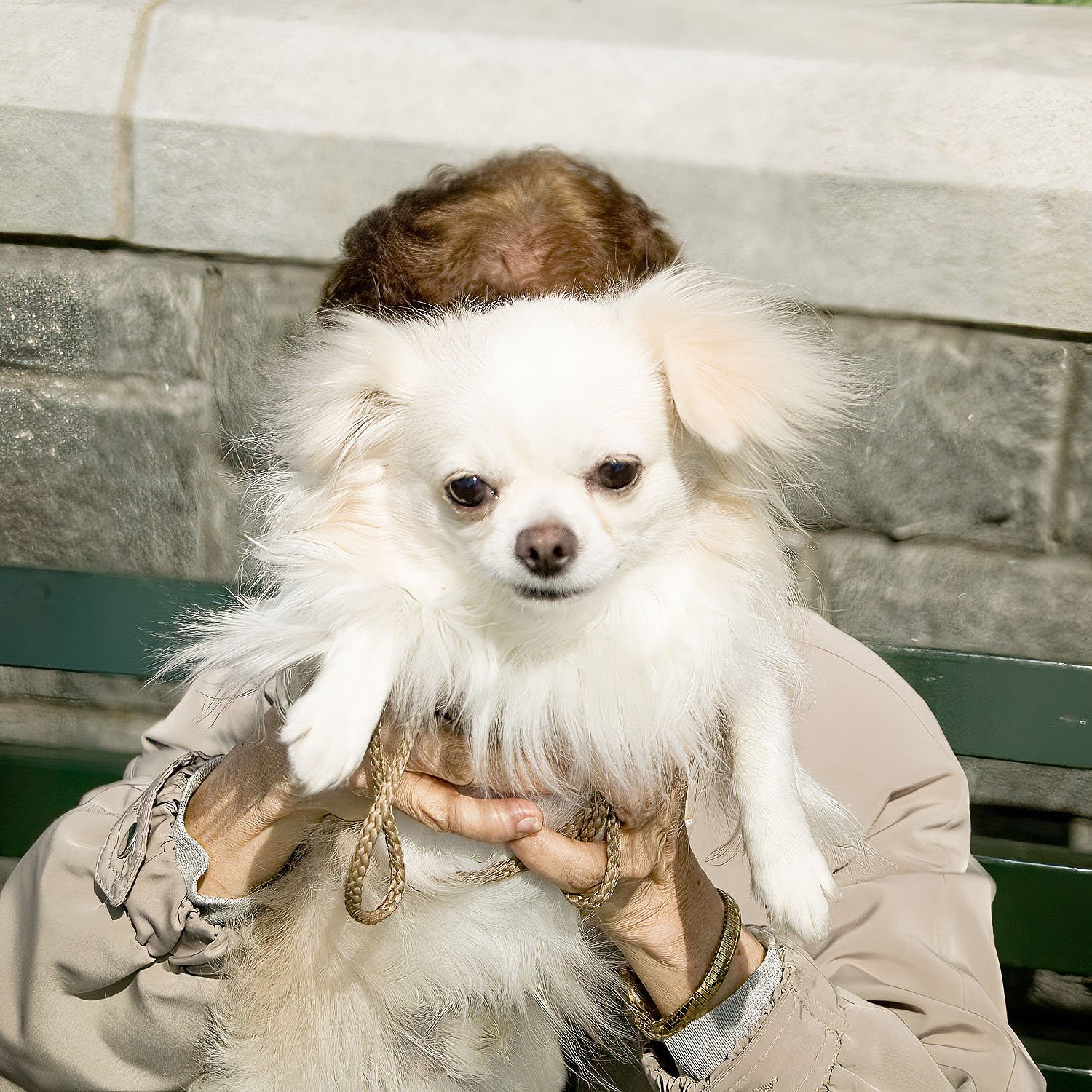 Proud Dog Owner and Pup, Battery Park