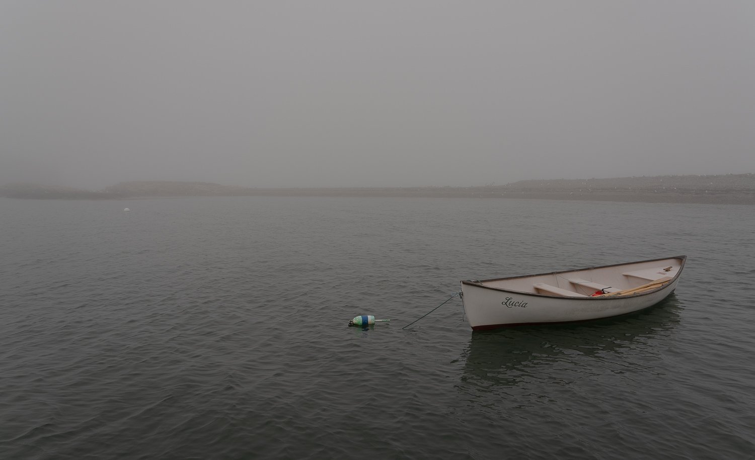 Rowboat Fog