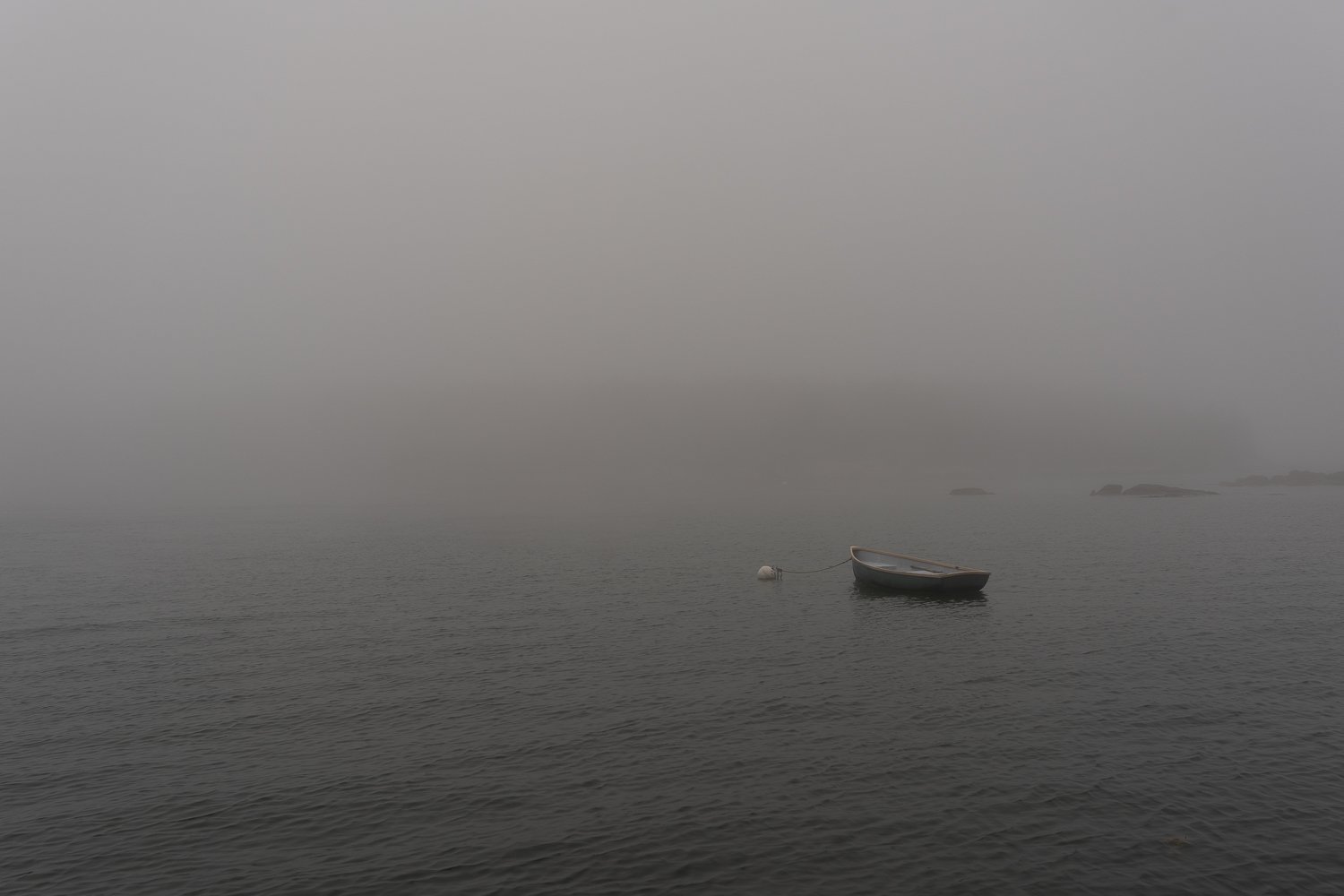 Rowboat Fog