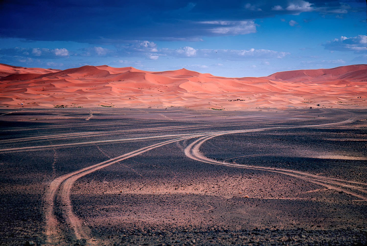 Roads into the Sahara