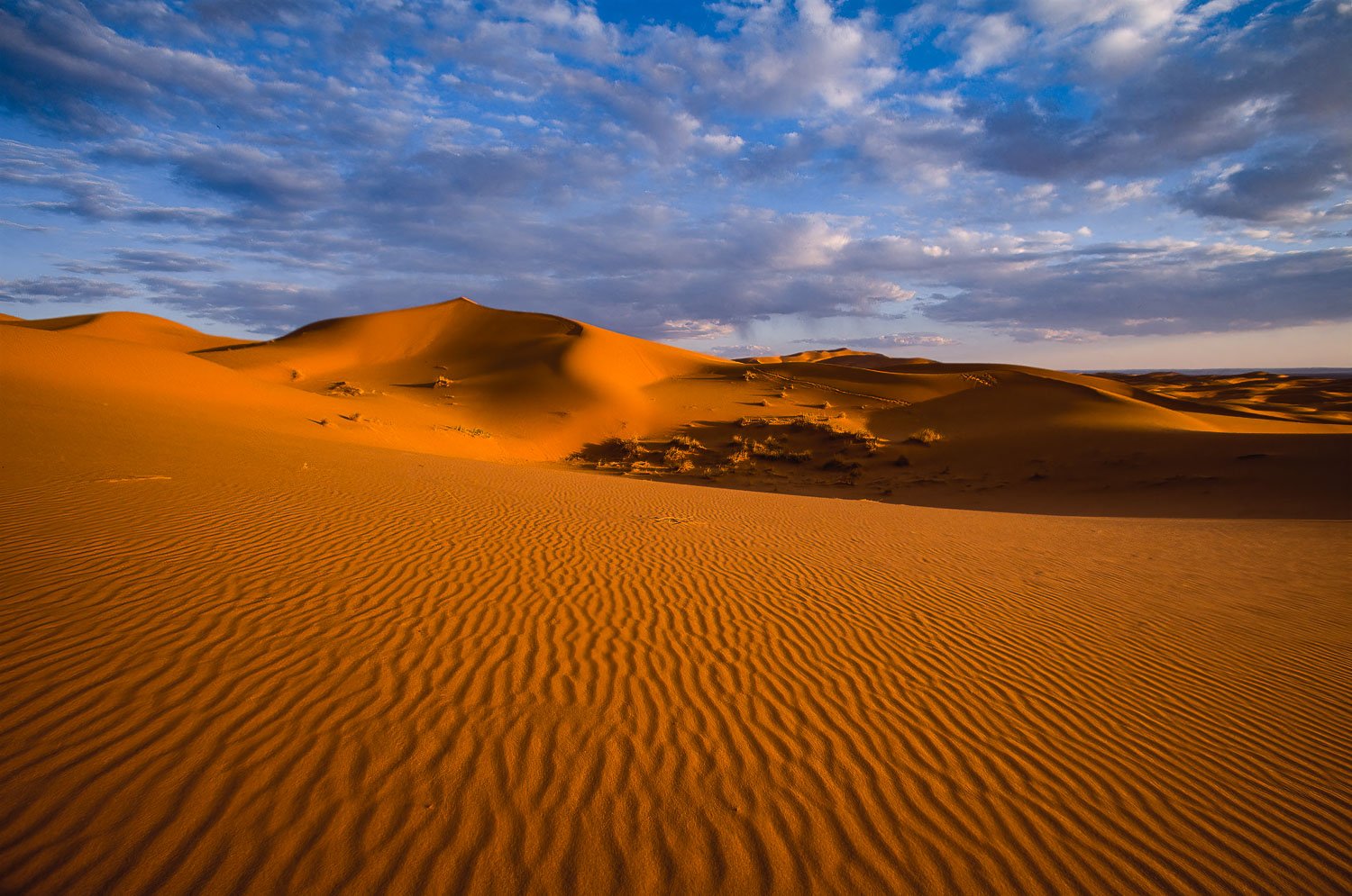 Sahara Sunrise