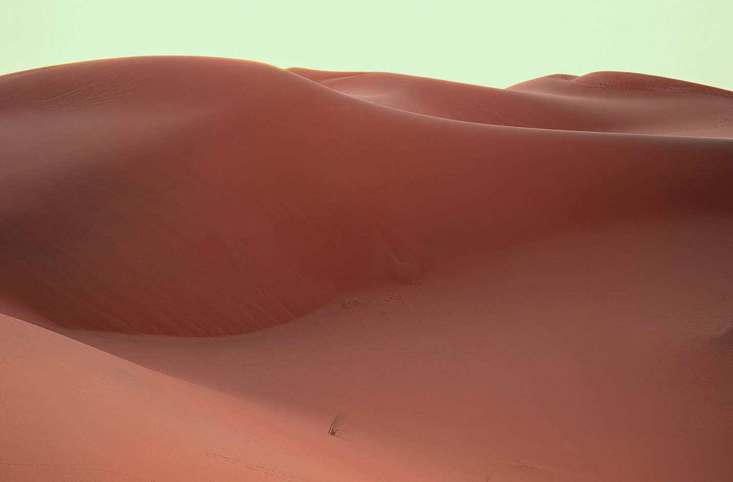 Sahara 