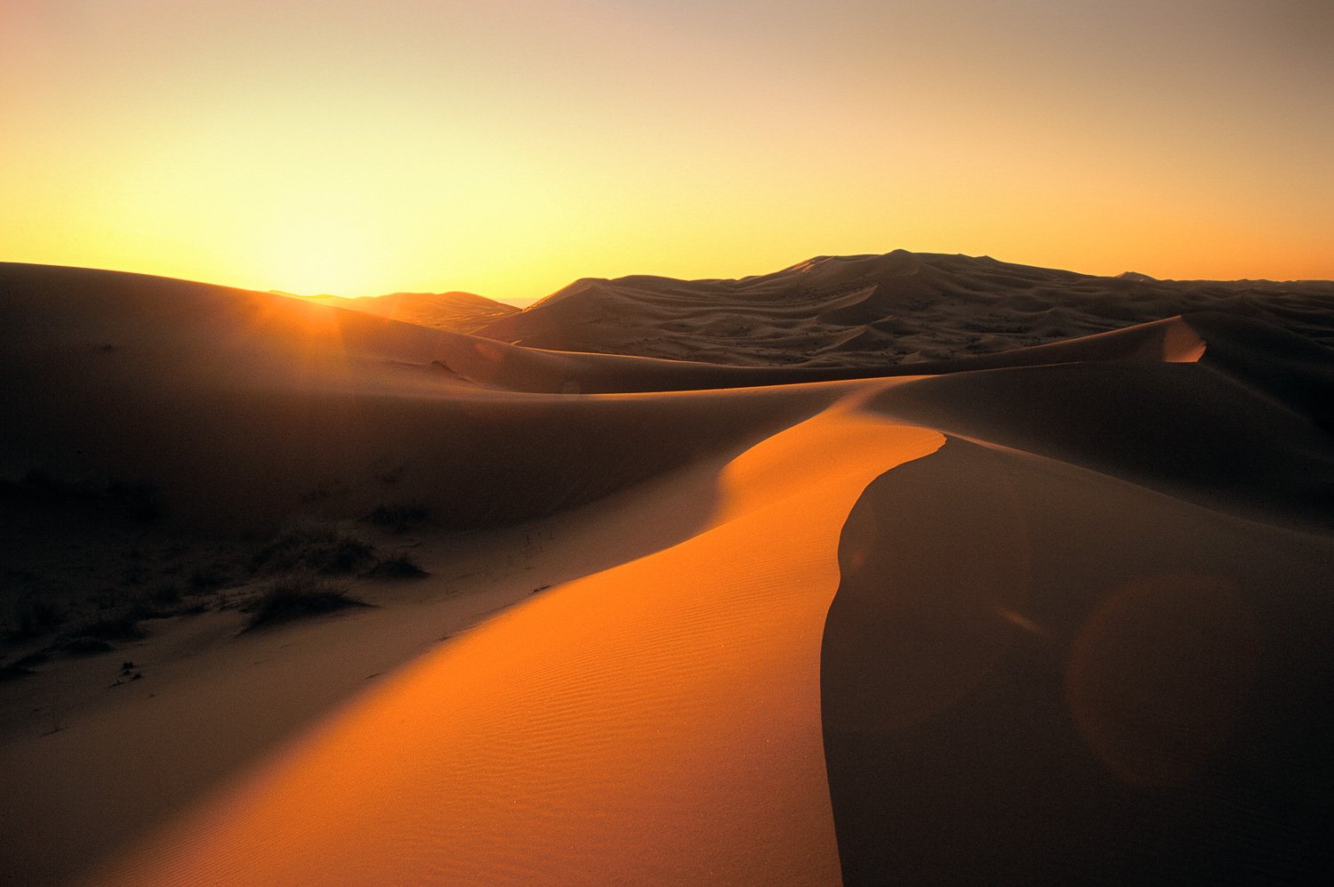 Sunrise Sahara