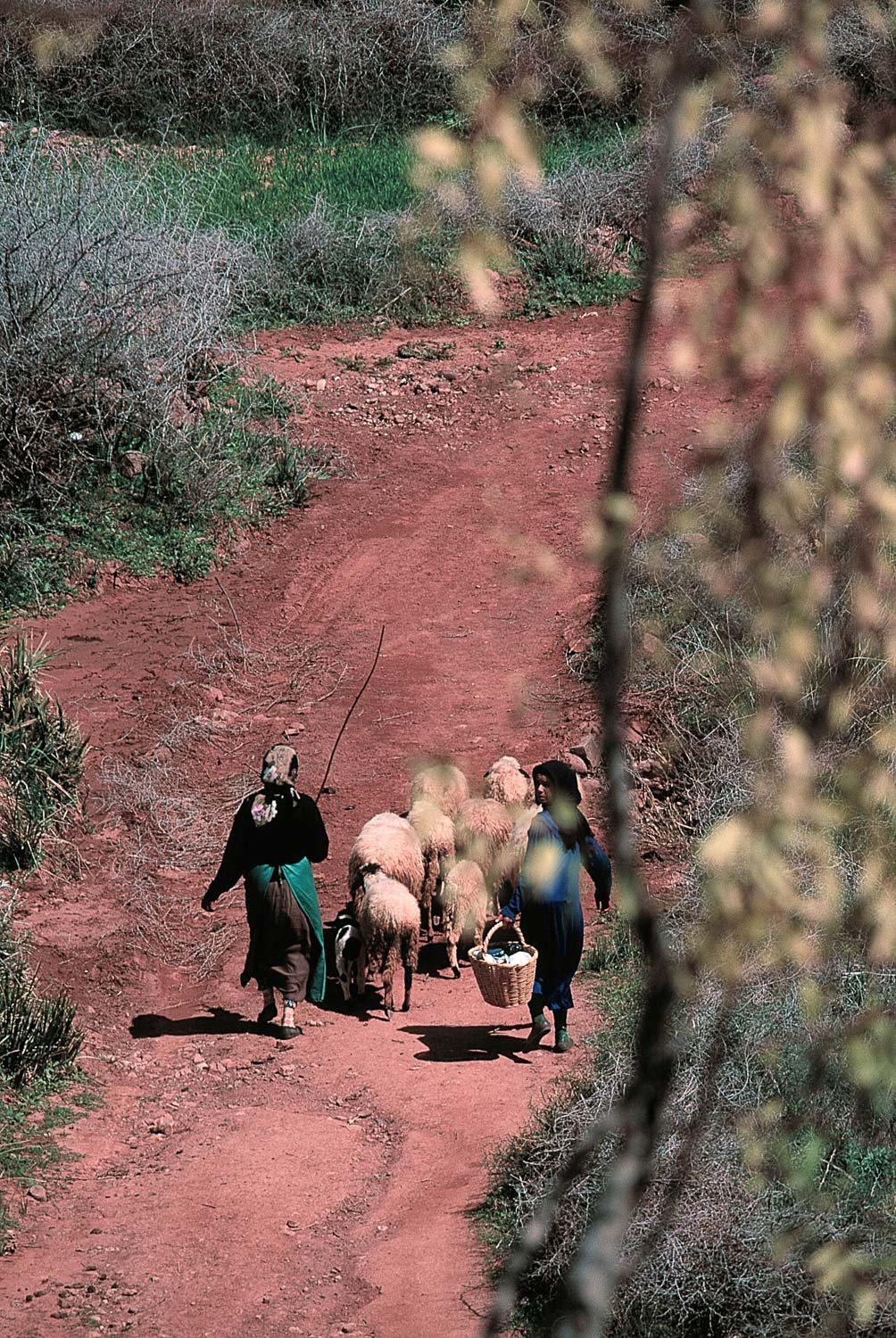 Herders High Atlas Mountains