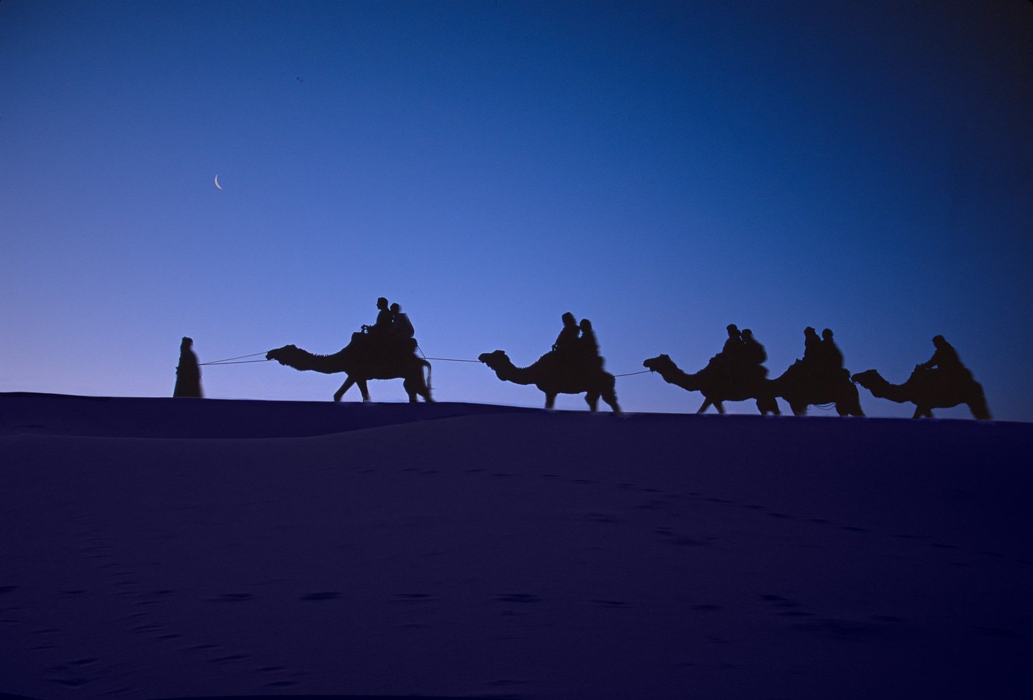 Camel Caravan Twilight