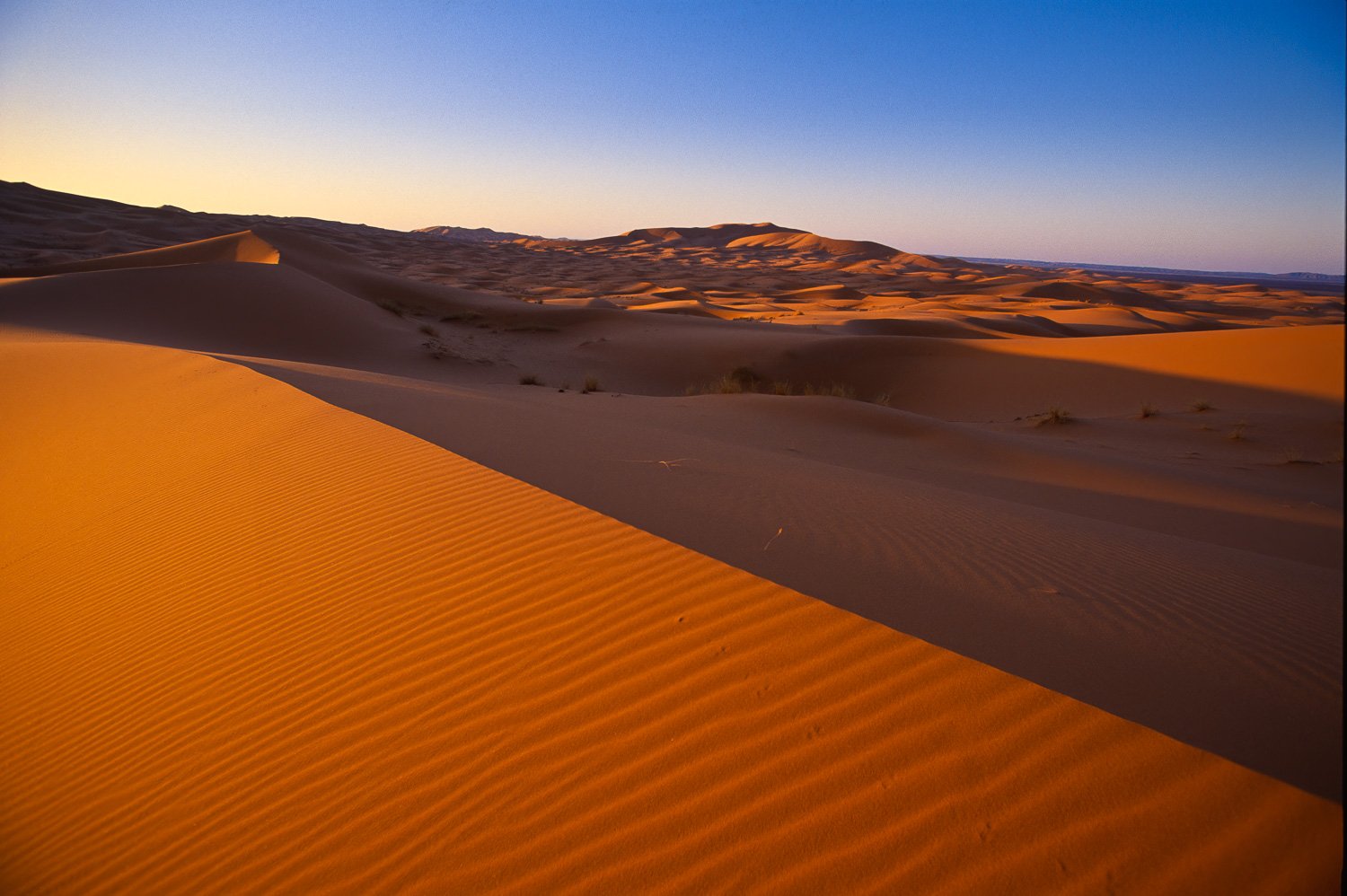 Images of Morocco, Marrakech, Atlas Mountains, Sahara Berber blue men ...