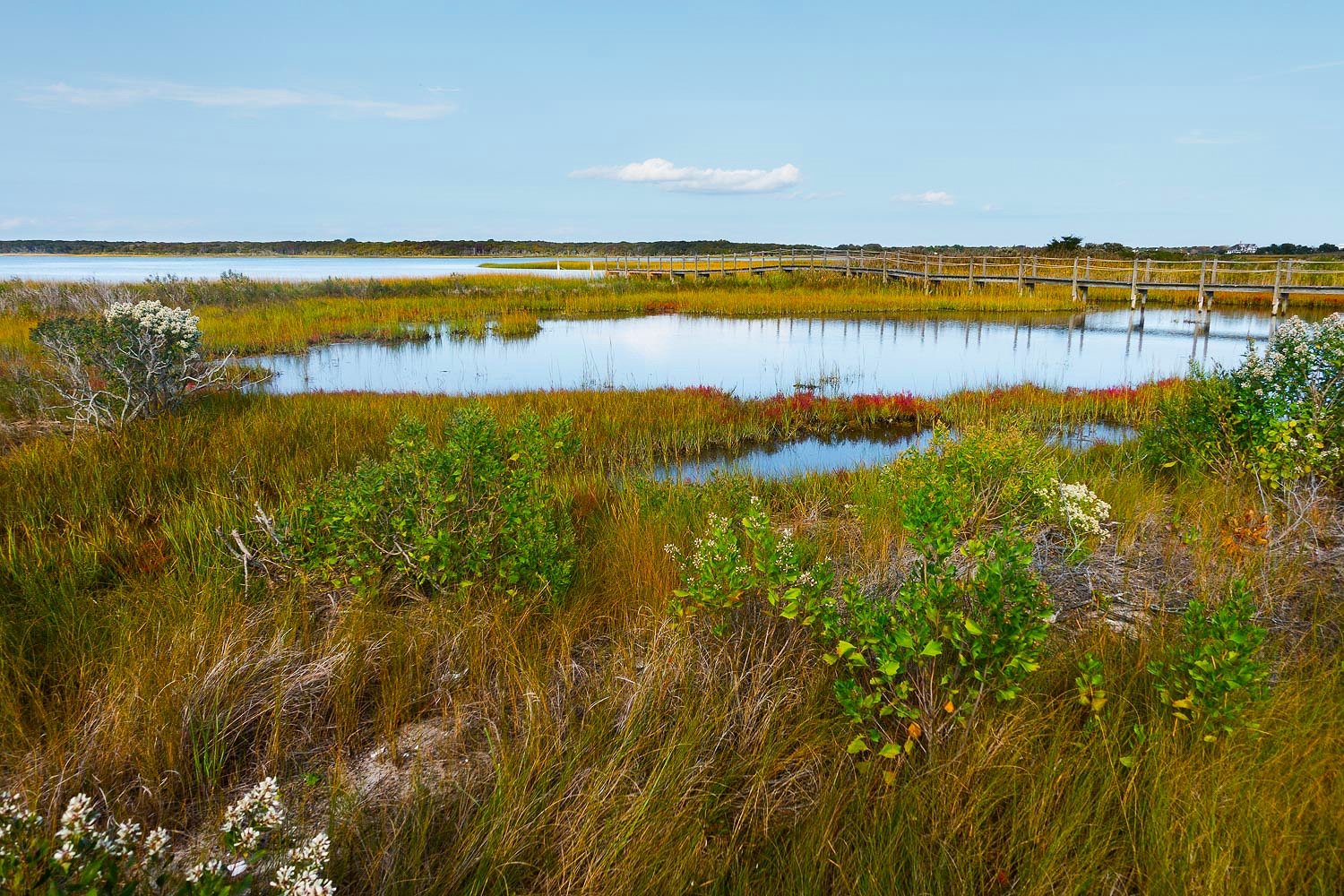  Autumn color comes to the wetlands 