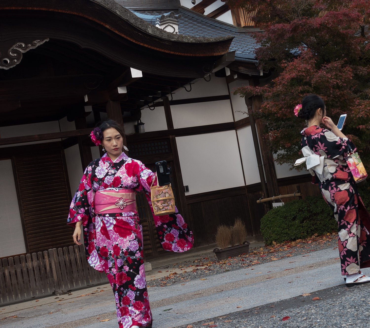 Can't Escape Selfies, Kyoto