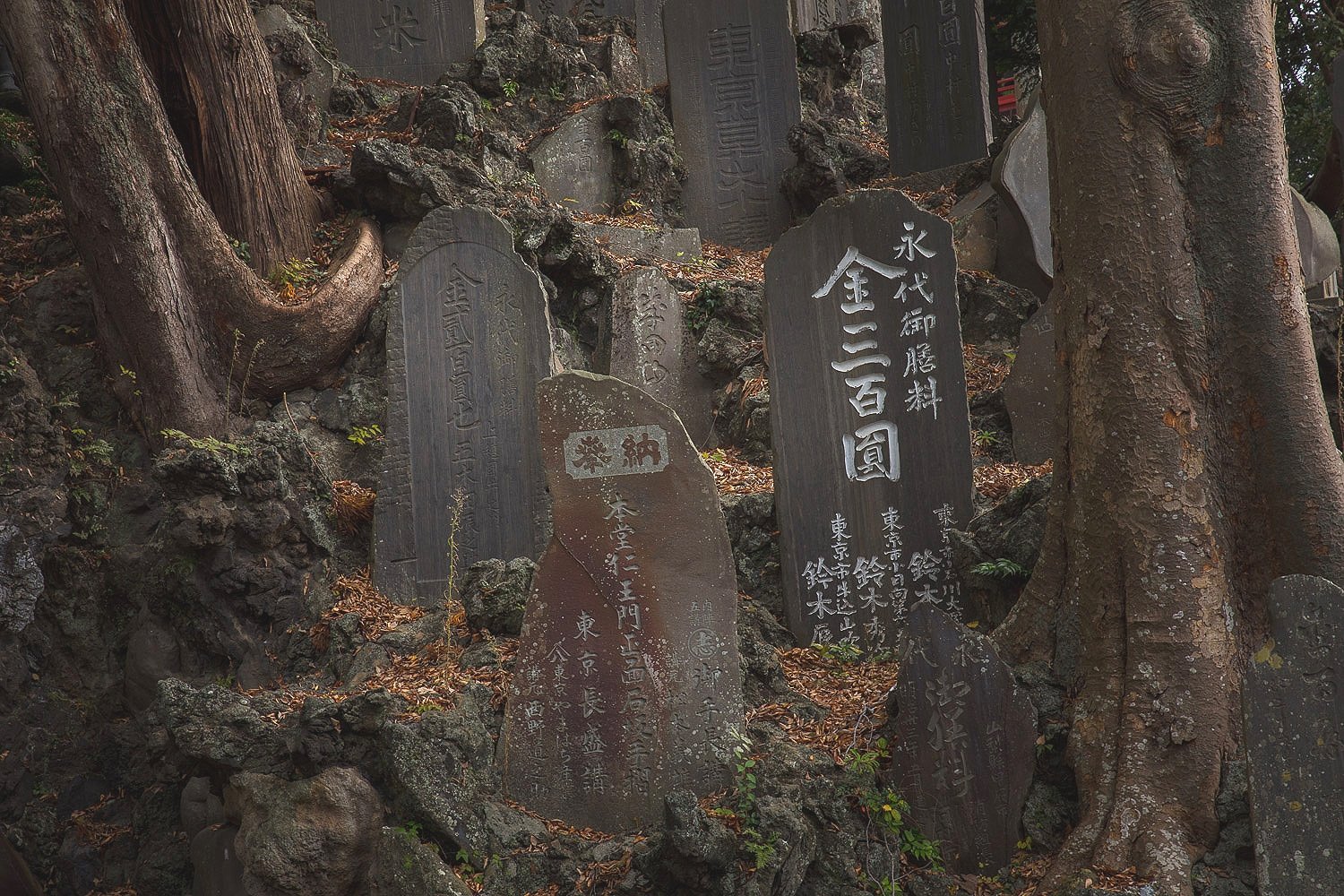 Narita-san Shinshō-ji , Cemetery
