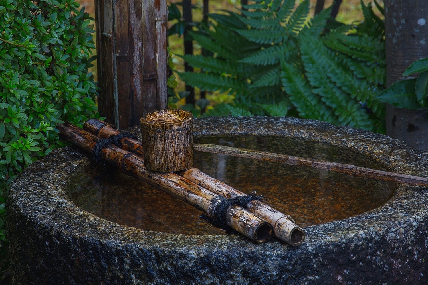 Water, Daigo0ji Temple, Kyoto