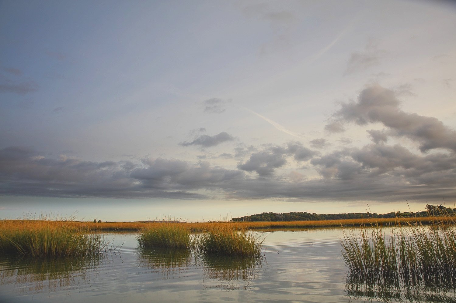  Autumn Color Wetlands 