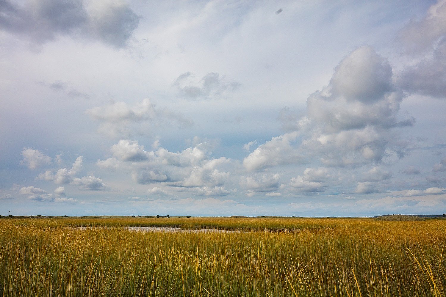  wetlands and clouds 