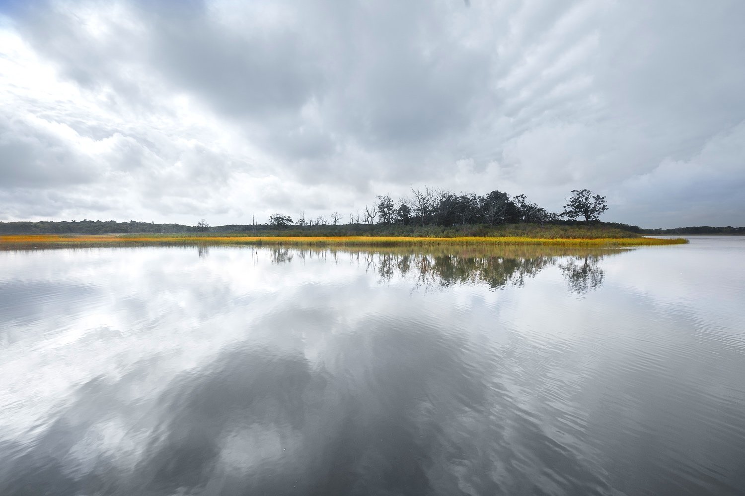  Reflections of clouds and twisted trees  