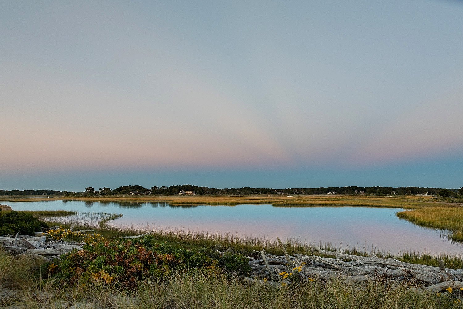  Wetlands twilight 