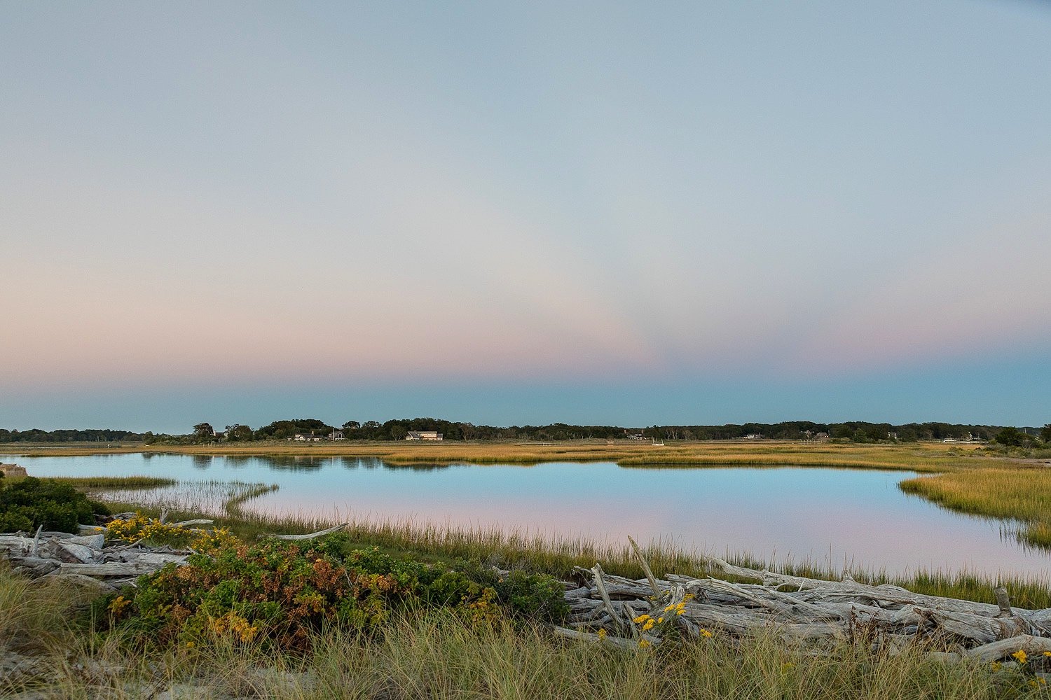  Twilight in the pond 