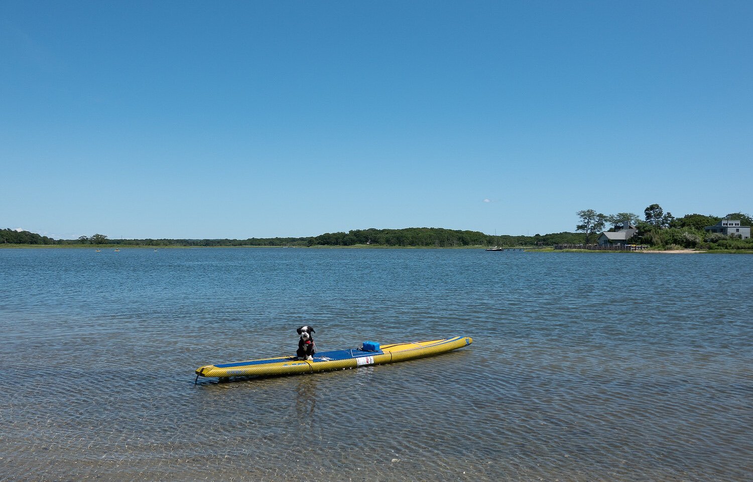 Let's Paddle