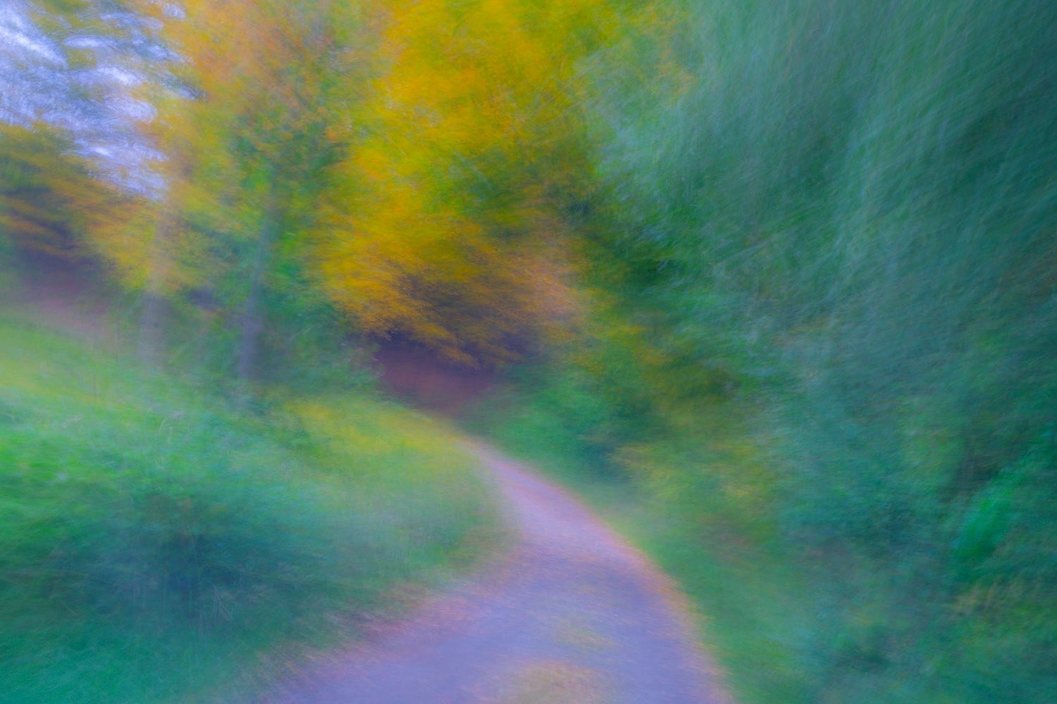 Make+your+own+path+down+a+country+road.+This+painterly+photograph+was+created+by+johnstuatrstudio-compress.jpg