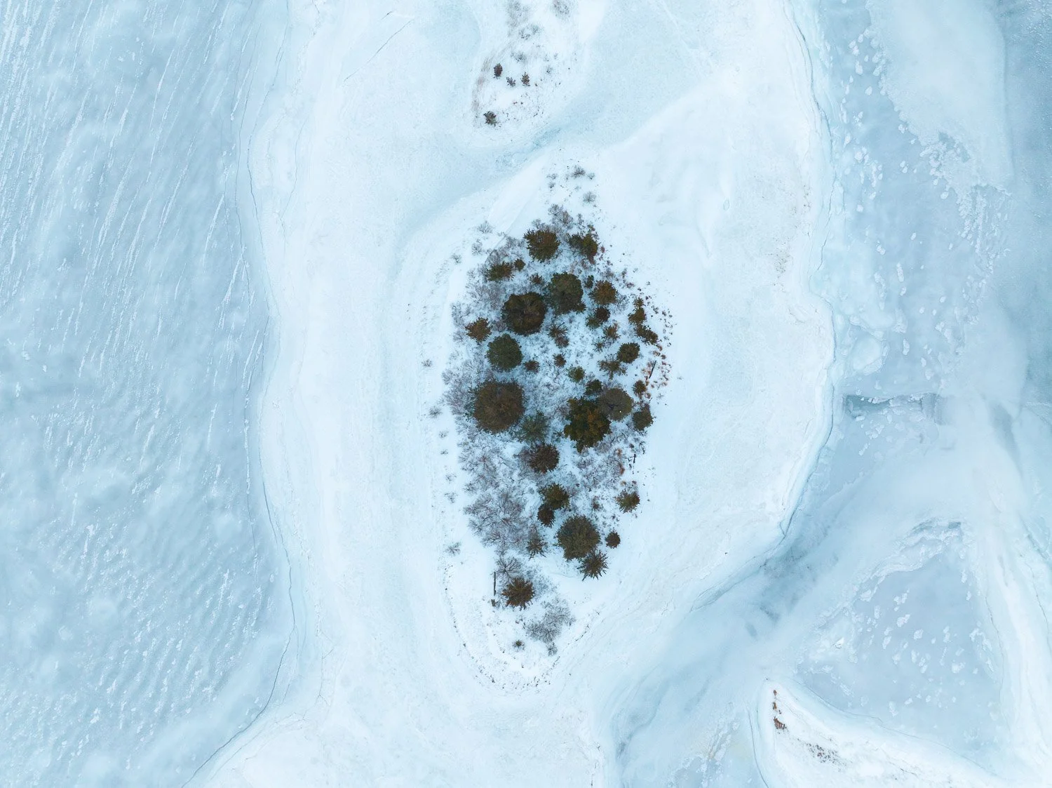 Abstract Ice and Trees 0349.jpg