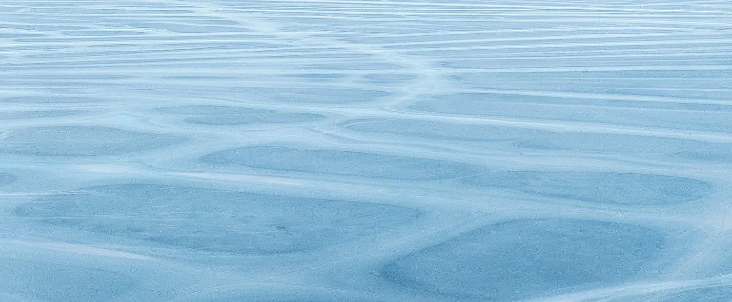 Abstract with Geese 0182-2.jpg