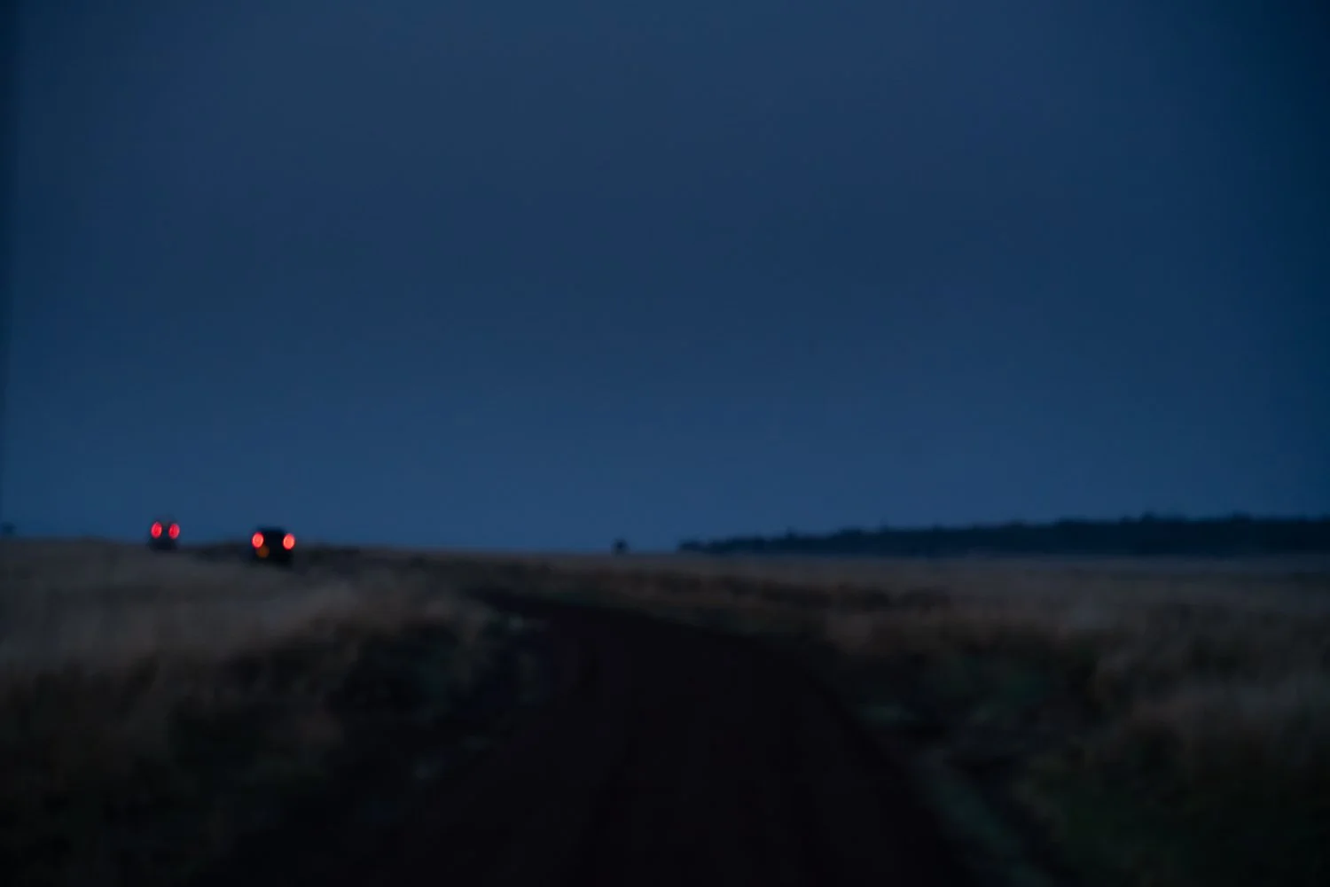 Long Way Home
