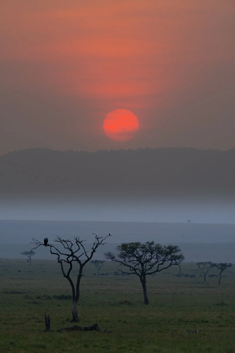 Sundown