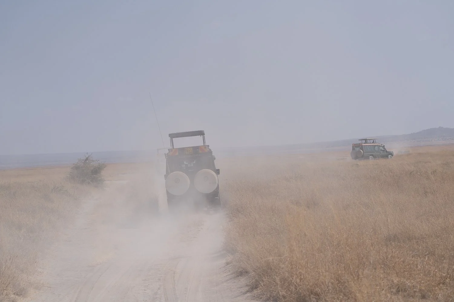 Amboseli Dust 