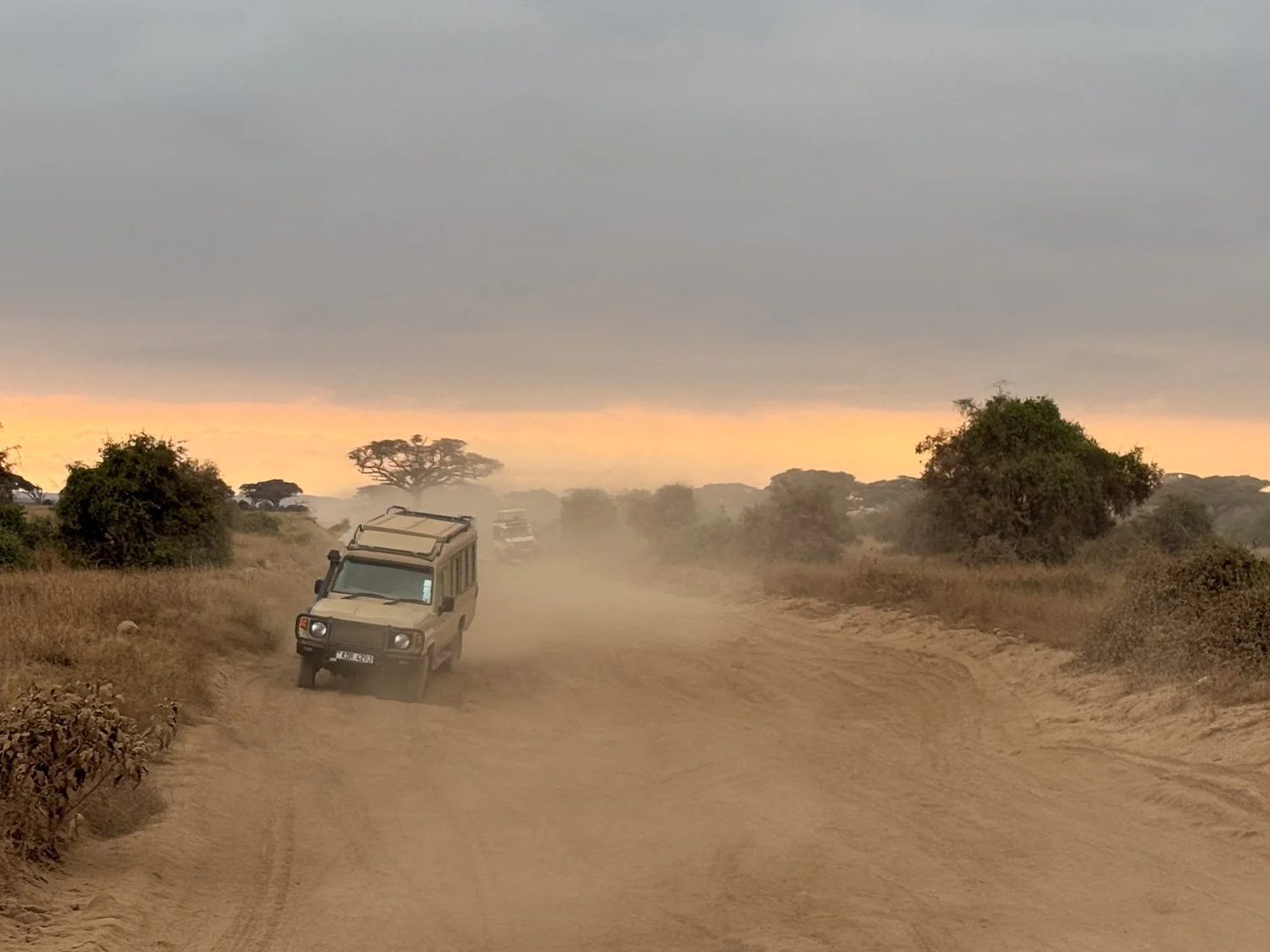Landcruiser