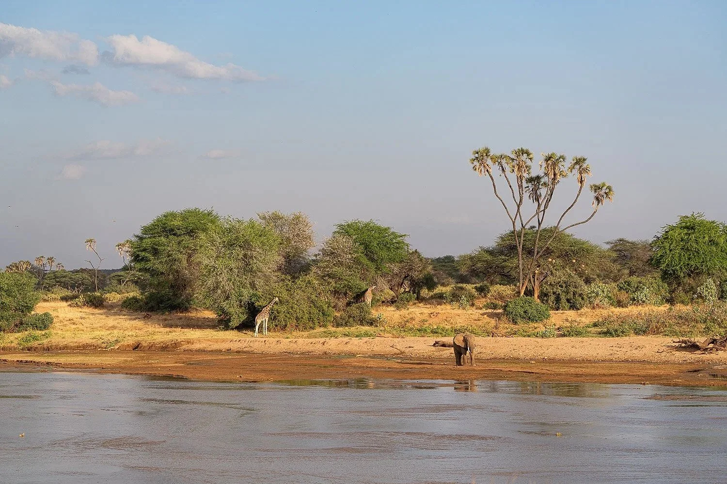 River of Life
