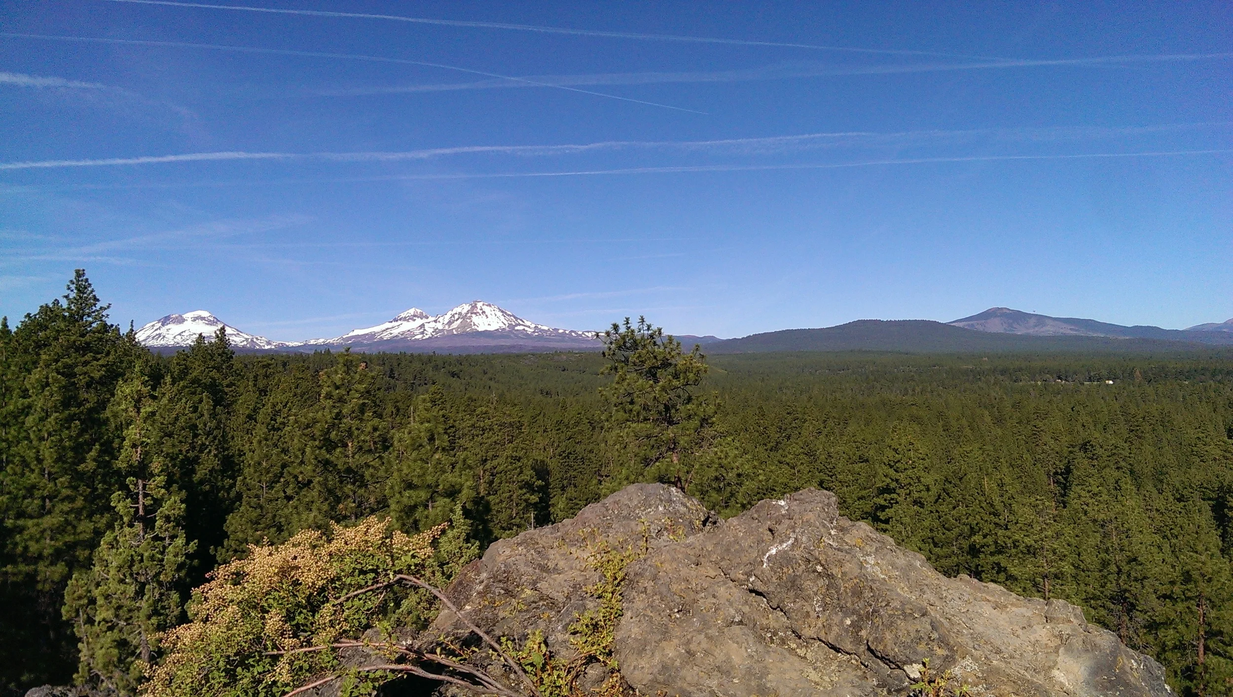 IMAG0559.jpg