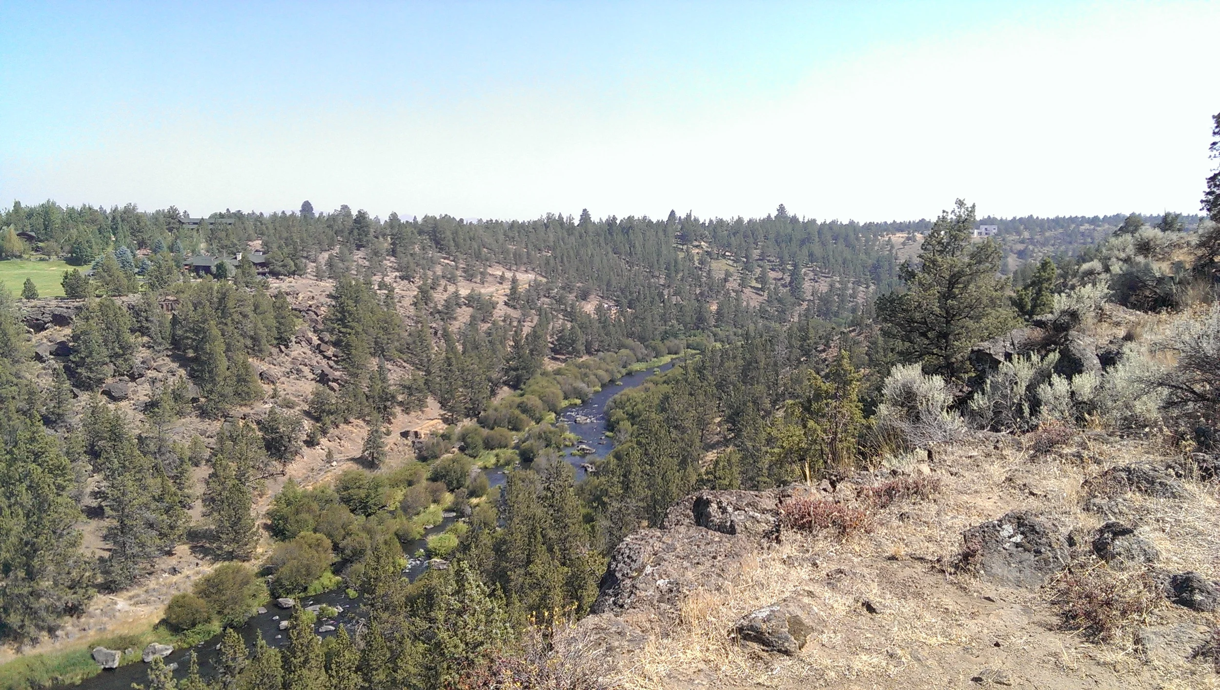 IMAG0795.jpg