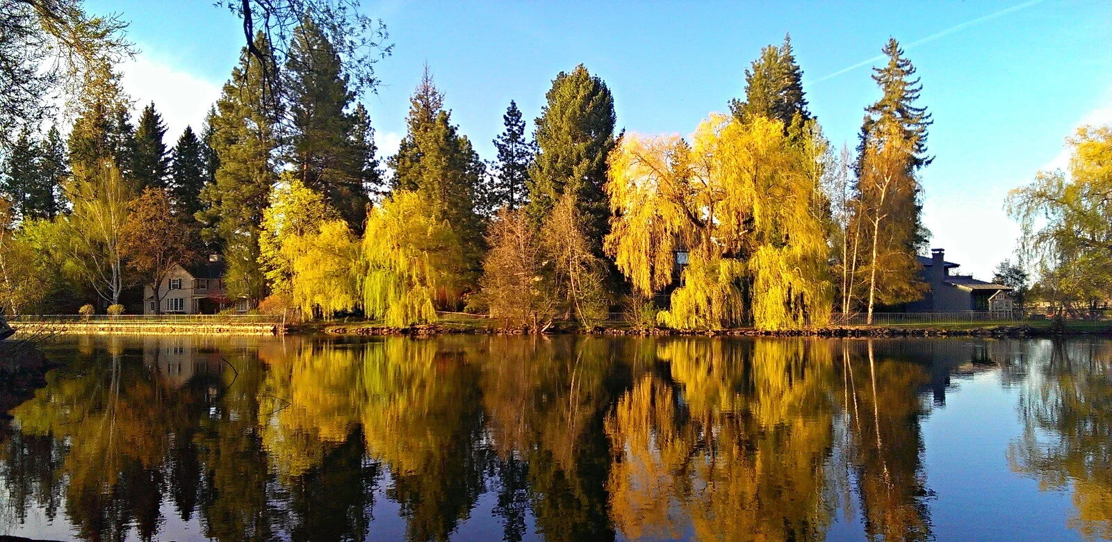 Mirror Pond Fall.jpeg