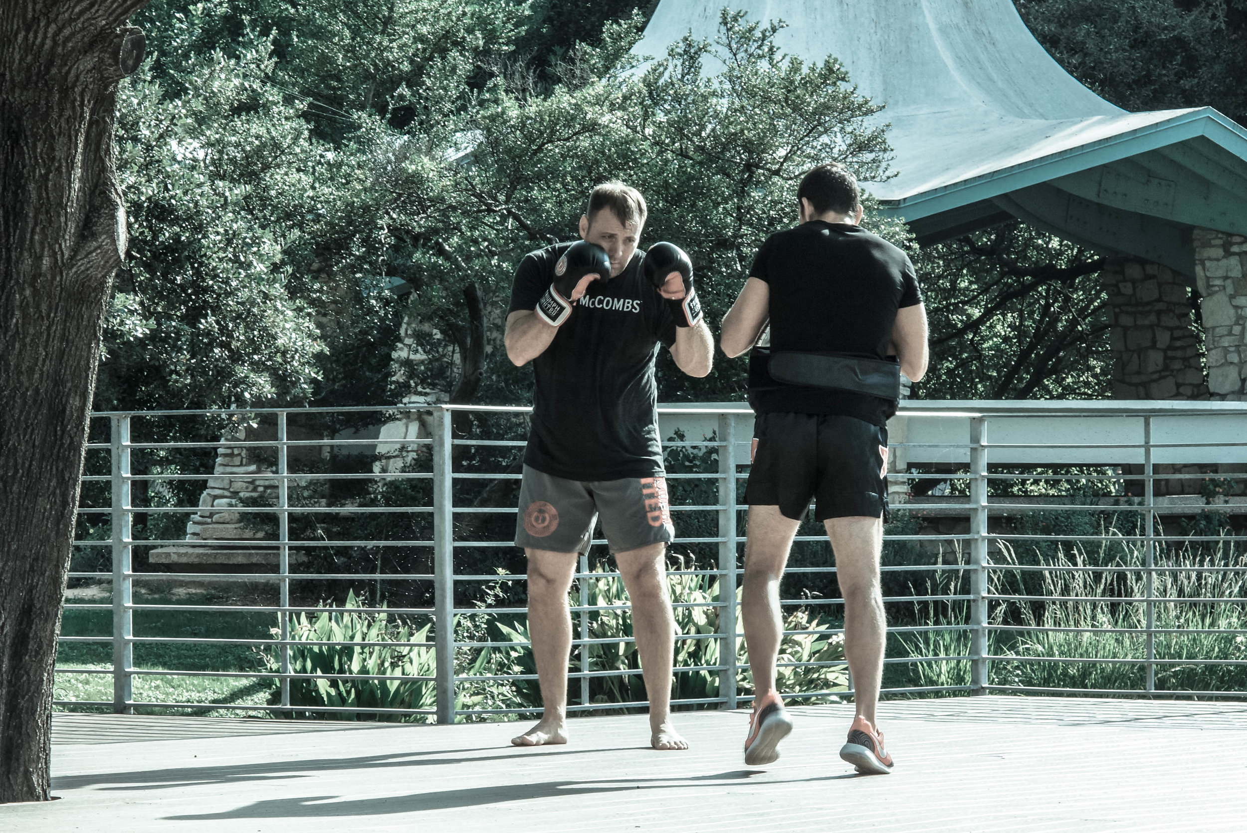 Boxers at Ladybird Lake