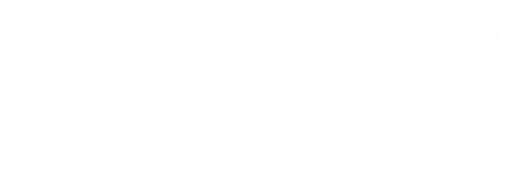 Metis Leadership Group